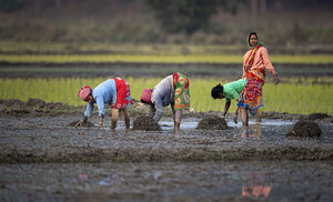 Women Farmers In India Reshape Farming To Face Climate Change ...